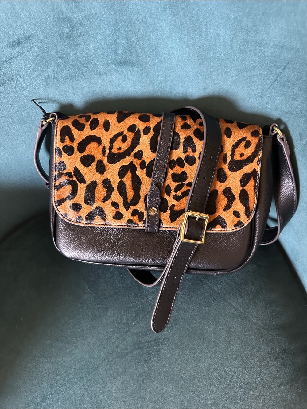 Aimee Kestenberg Leopard Haircalf Amity Crossbody Bag NWT Leather